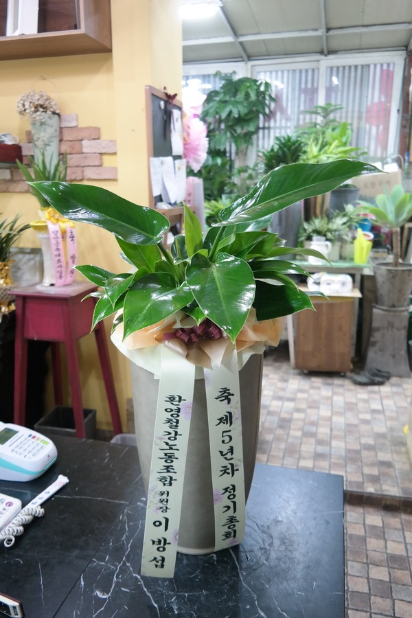 612(ݿ)
