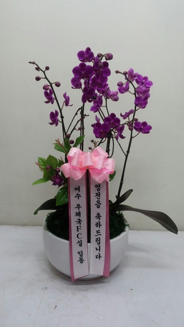 73(ݿ)