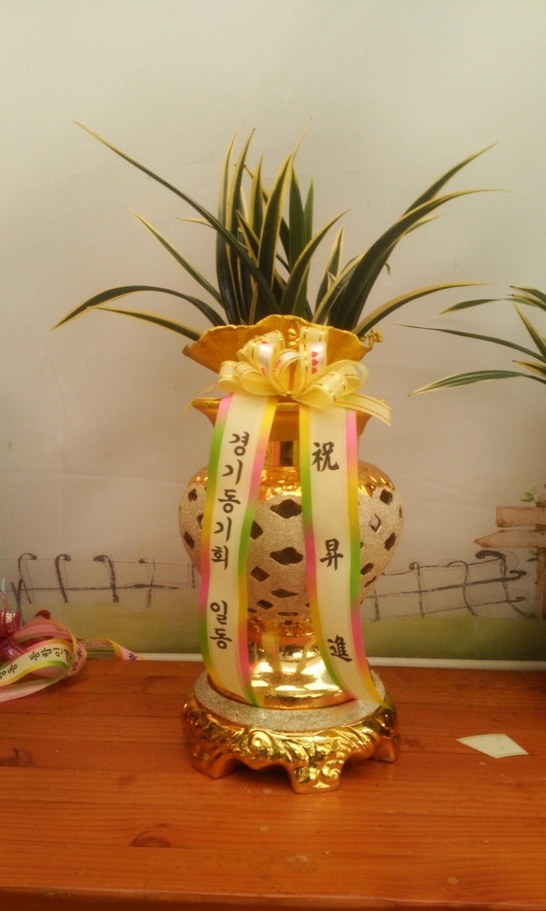73(ݿ)