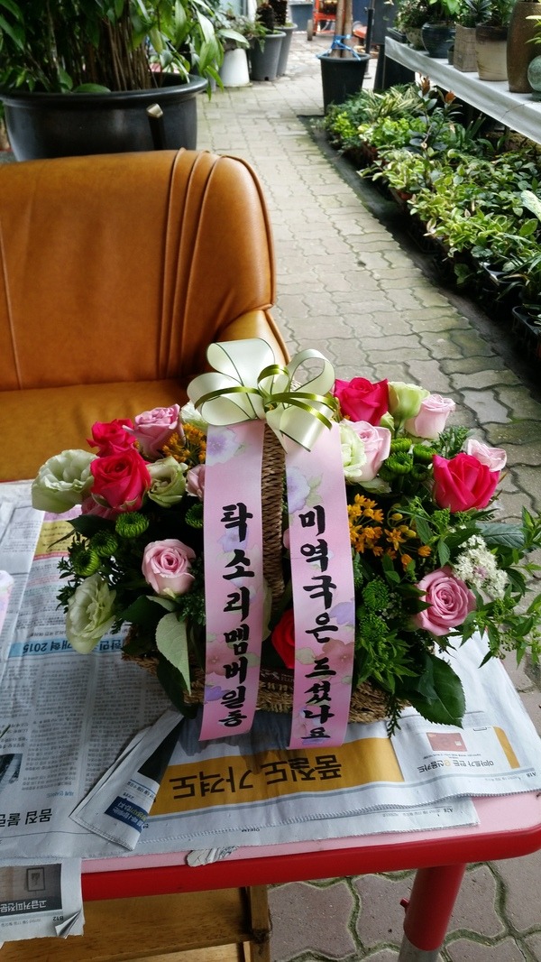 73(ݿ)