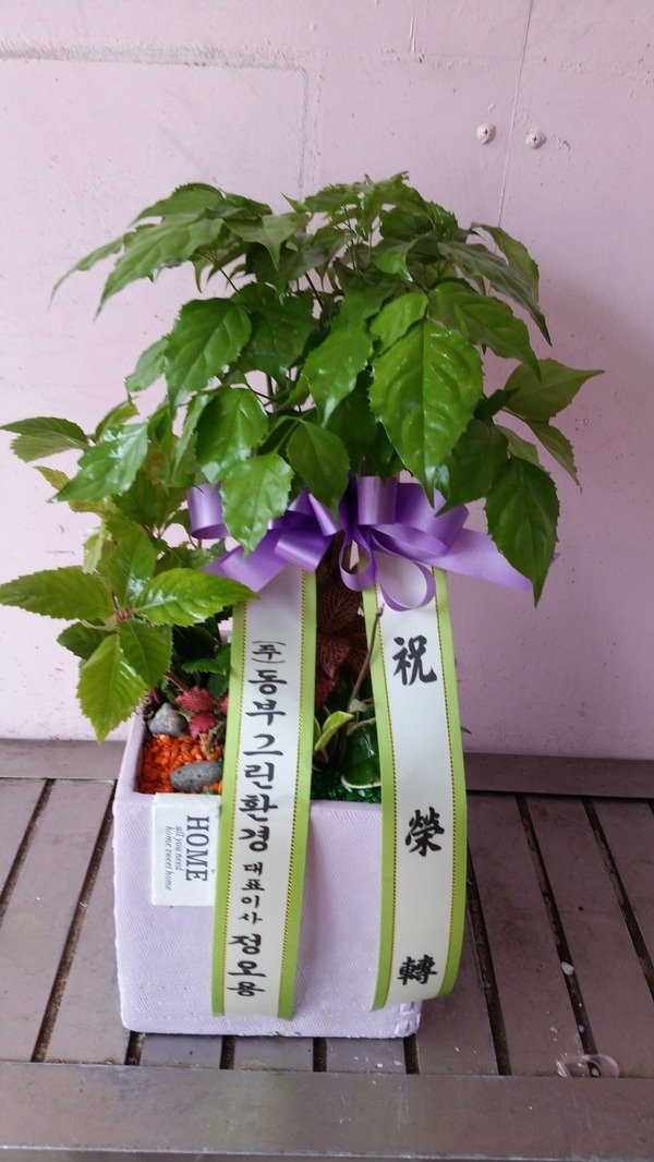 73(ݿ)
