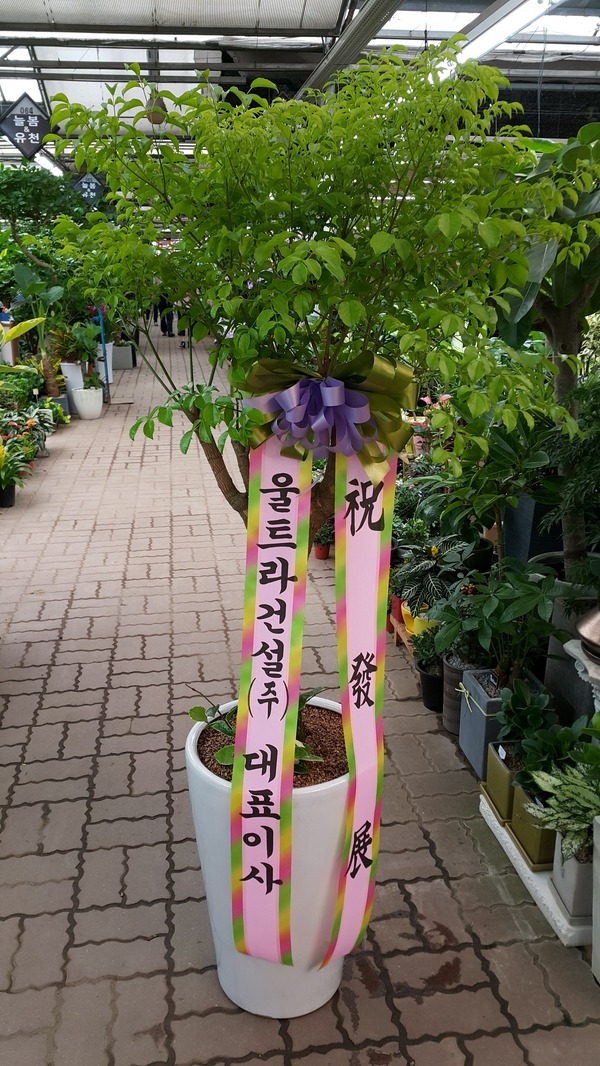 717(ݿ)