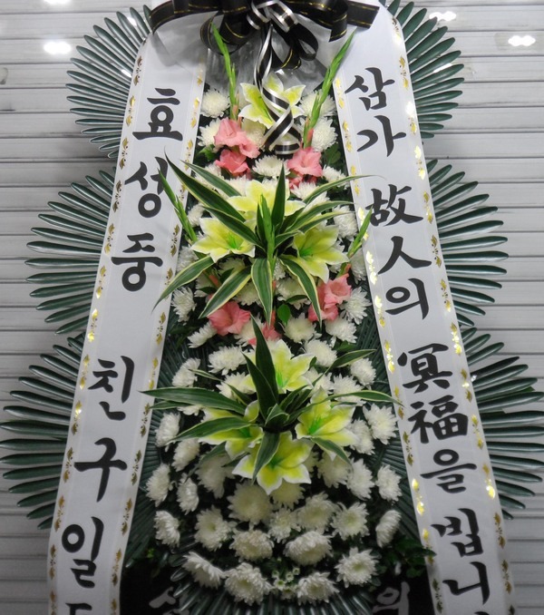 717(ݿ)