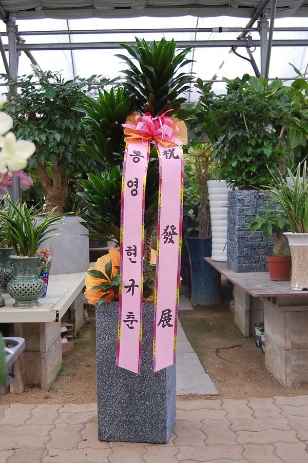 124(ݿ)