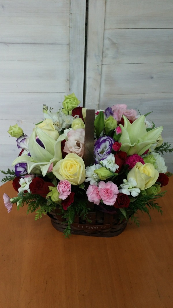 124(ݿ)