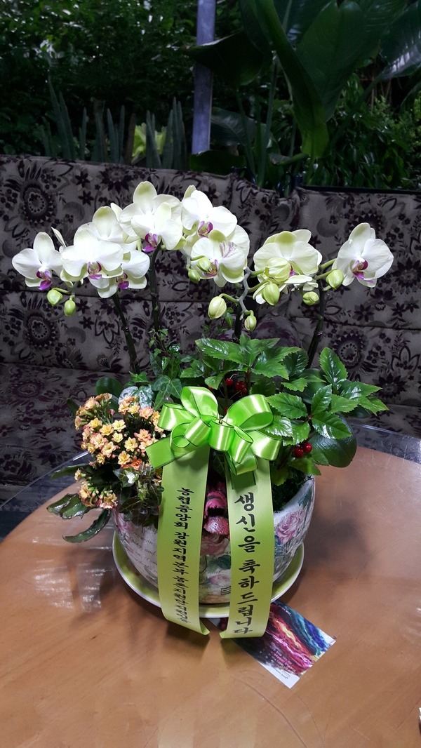 124(ݿ)