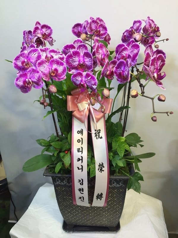 34(ݿ)
