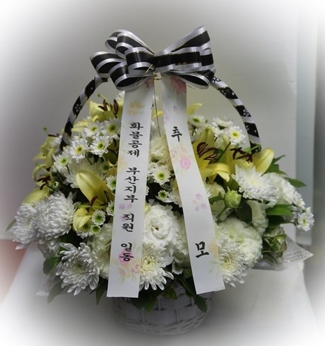 617(ݿ)