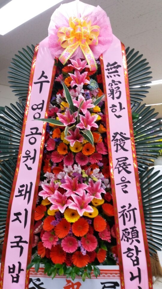 617(ݿ)
