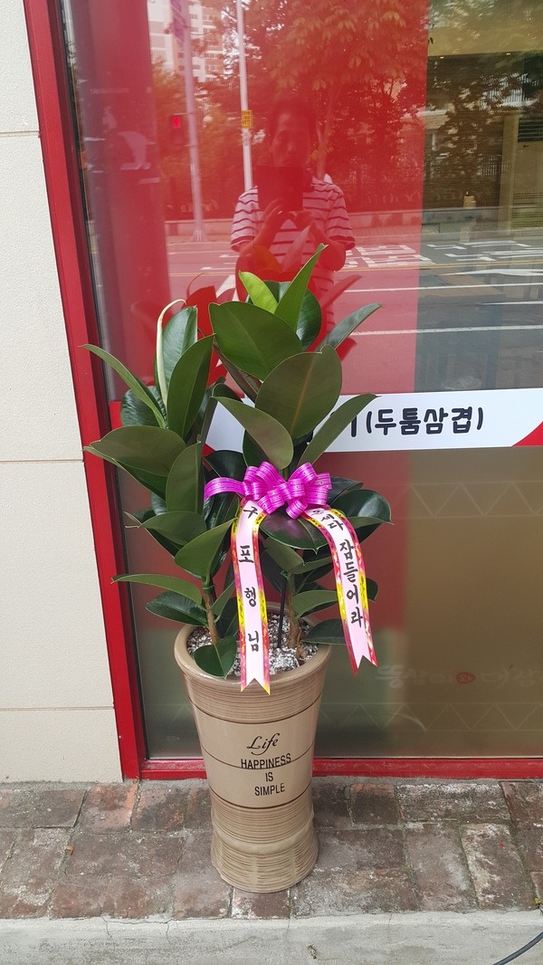 617(ݿ)