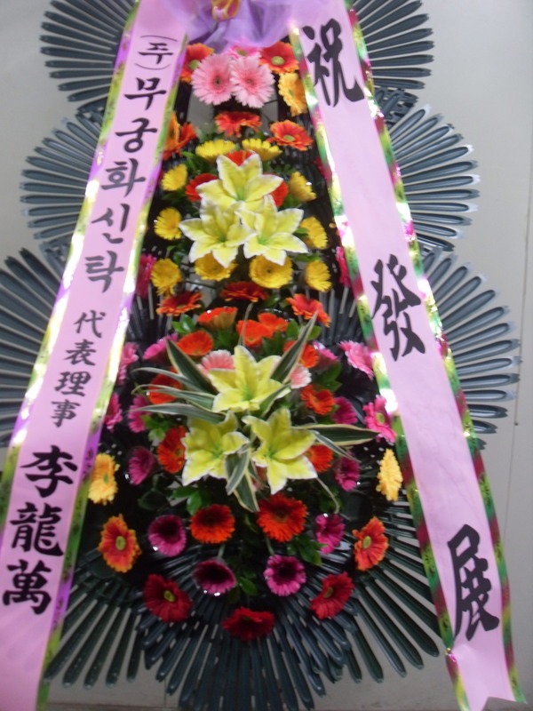617(ݿ)