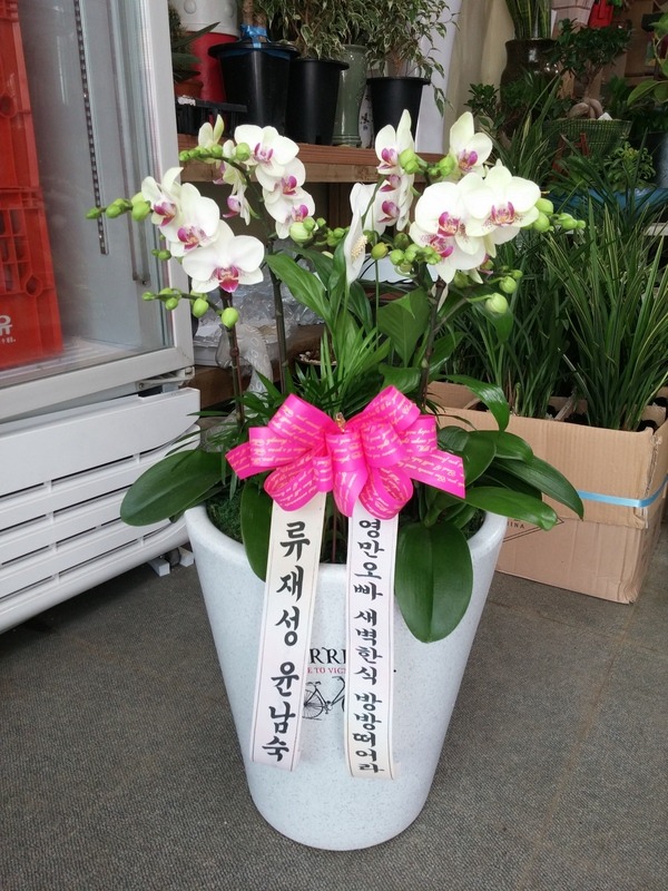 722(ݿ)