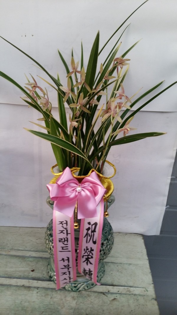722(ݿ)
