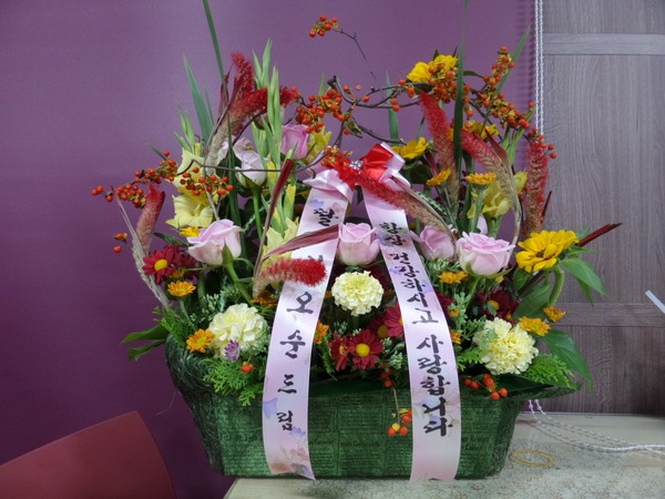 106(ݿ)