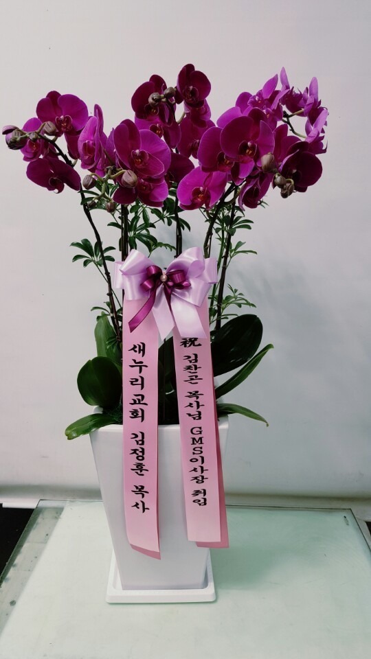 106(ݿ)