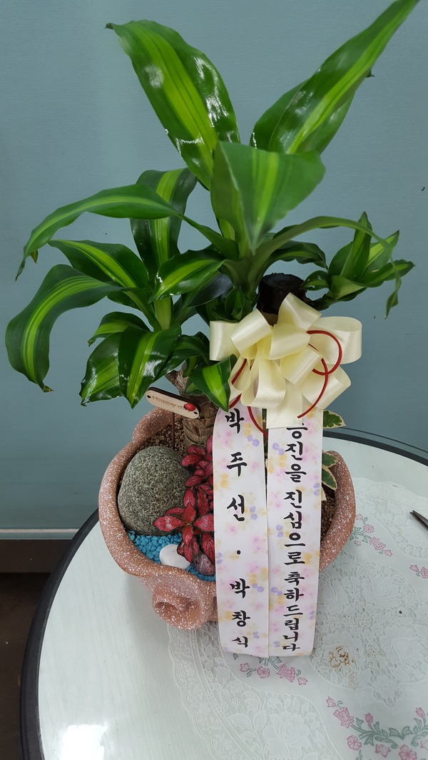 711(ȭ)