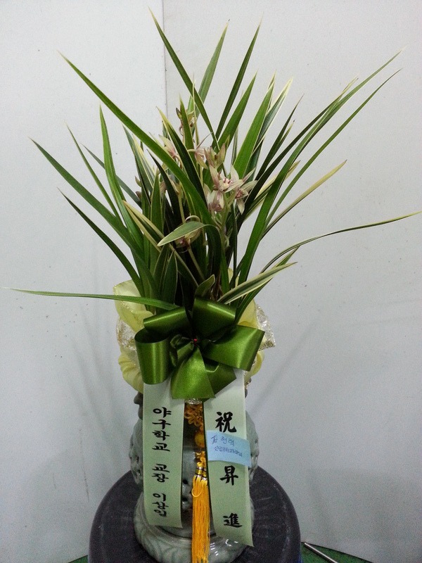 711(ȭ)
