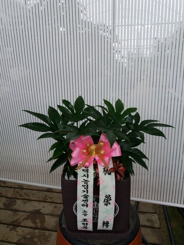 711(ȭ)