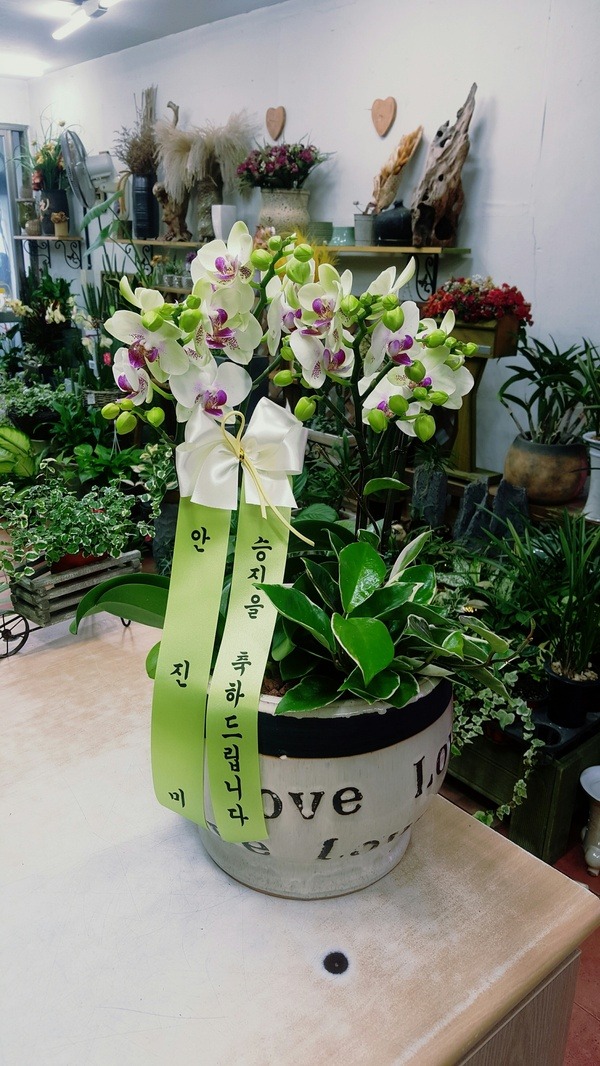 711(ȭ)