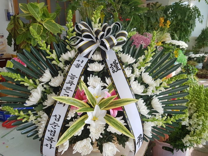 2018.2.6(ȭ)