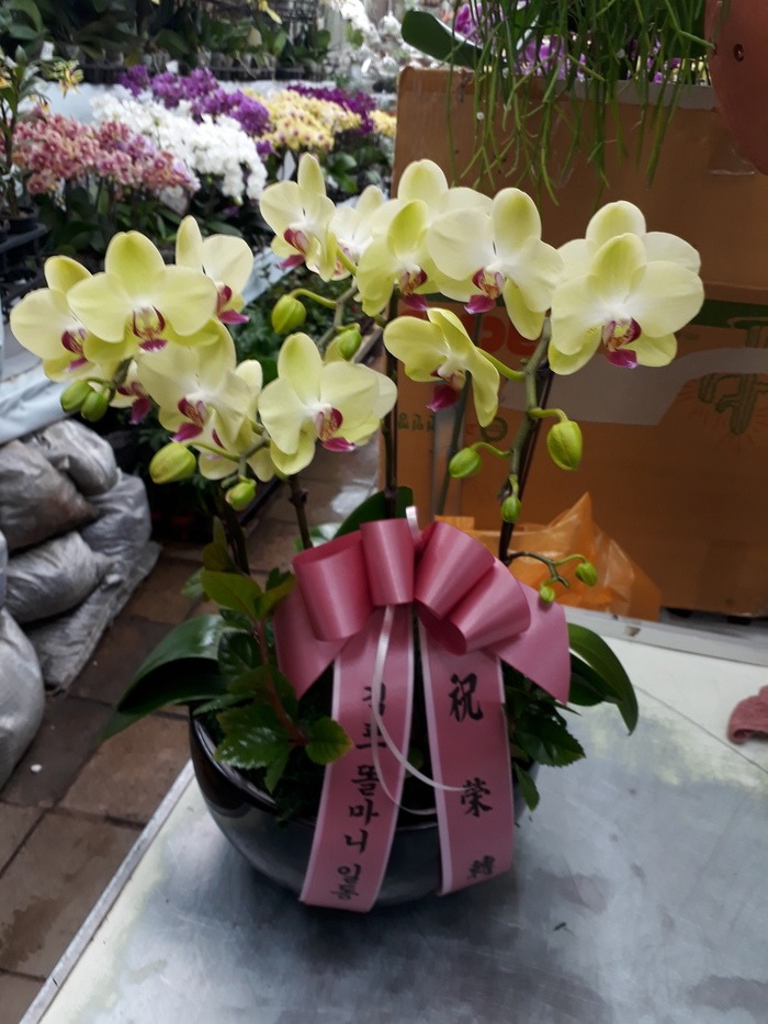 2018.2.6(ȭ)